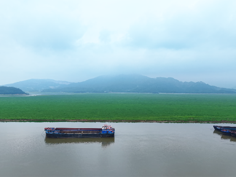 【經(jīng)典案例】江西省廬山市城市污水尾水深度處理項(xiàng)目（入湖排口水質(zhì)提升）